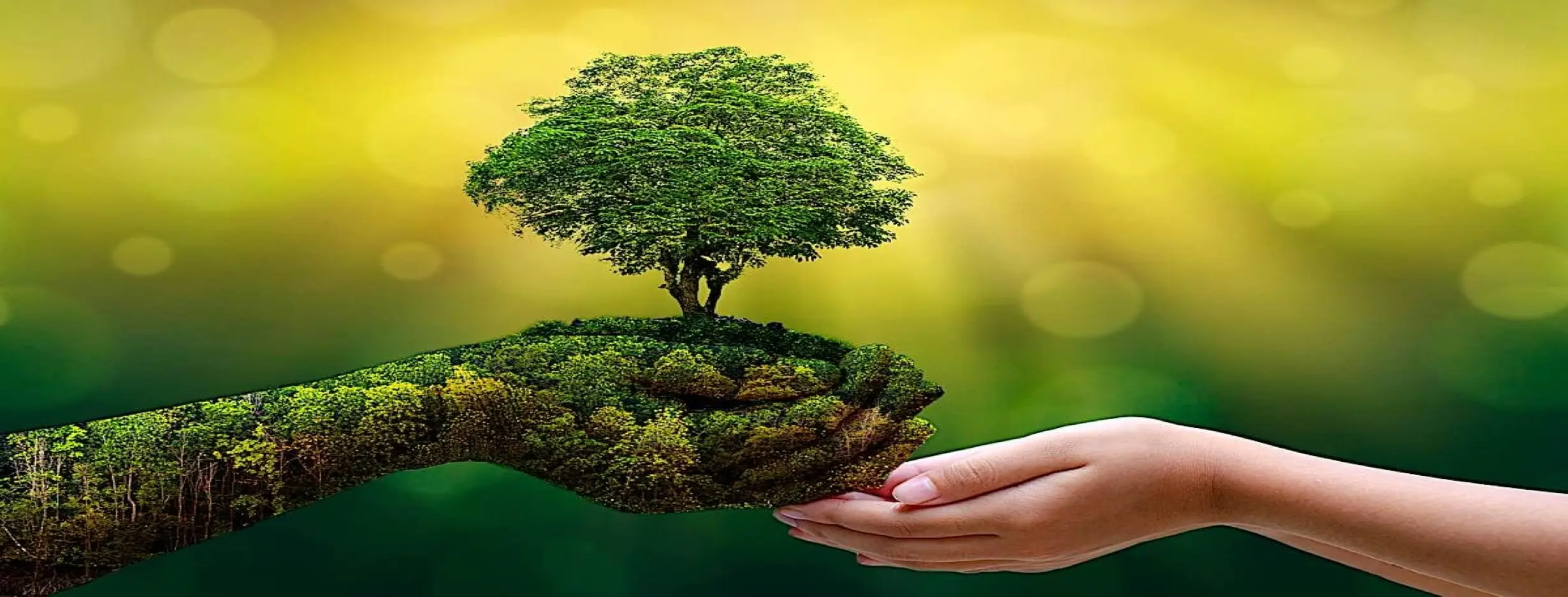 Image for Sustainable Urban Living